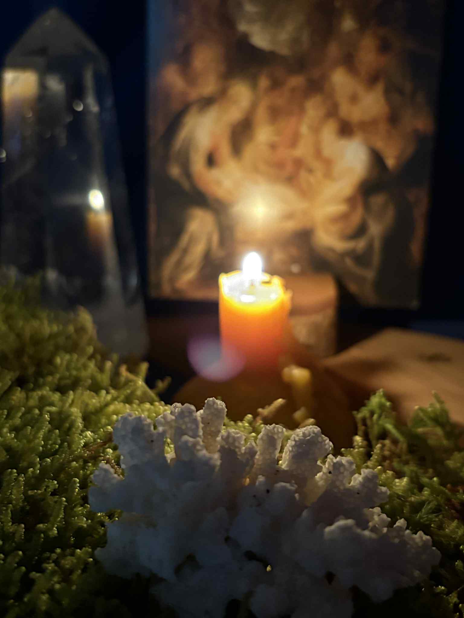 アドヴェント「聖十二夜」で紐解く 2026 へ　