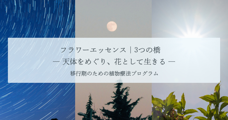 フラワーエッセンス|3つの橋